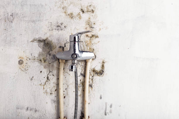 Mold Removal Process in Azusa, CA