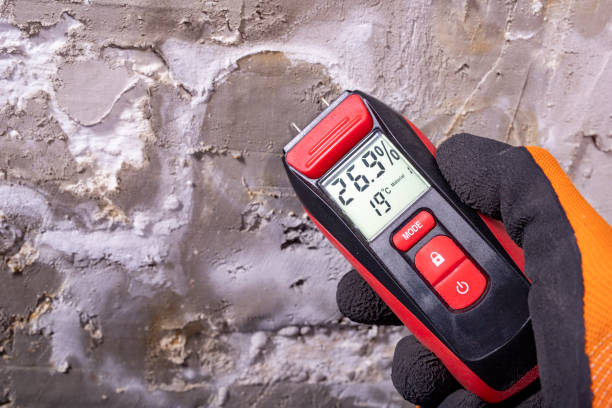 Best Emergency Mold Removal  in Azusa, CA