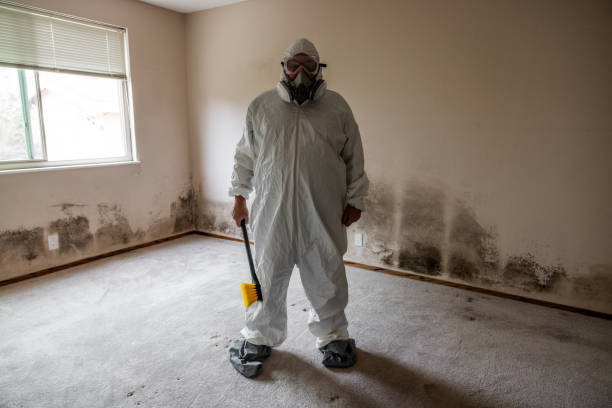 Professional Mold Removal in Azusa, CA